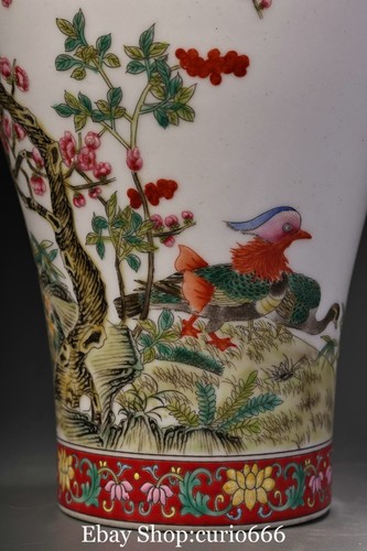 Paire de pot à fleurs 9'' Yongzheng couleur porcelaine émaillée officiel oiseau animal pot crock