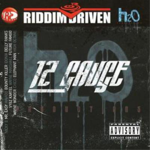 Альбом различных исполнителей 12-го калибра (CD)