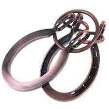 Horseshoe Lock Toys Adult and Teenager Cast M...