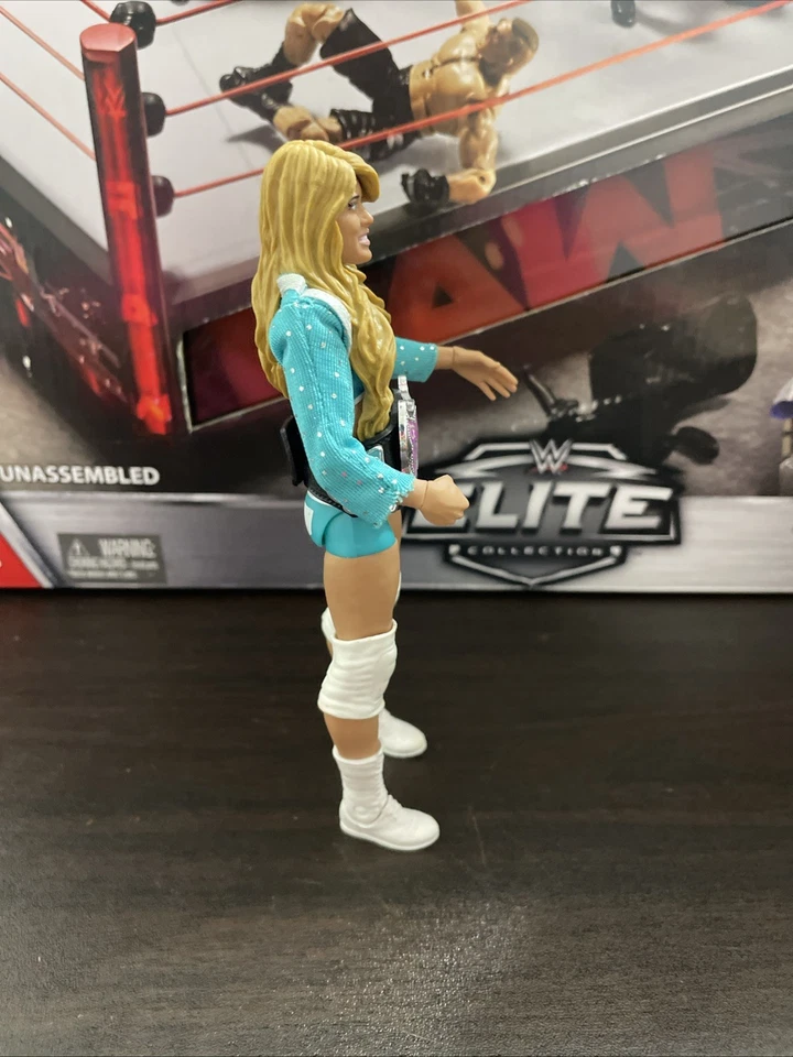 Figura de acción de lucha libre Kelly Kelly serie 17 WWE Mattel Elite nueva suelta Foto 3 de 4