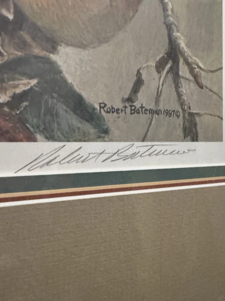 Impresión enmarcada Robert Bateman Cardinal and Wild Apples. 775/12,183 Foto 2 de 4