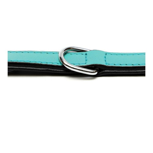 Hundehalsband Gloria Polsterung Turquoise 50 cm (50 x 2,5 cm) - Bild 3 von 7