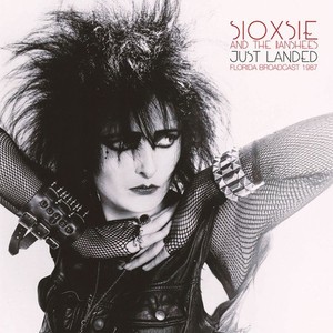 Siouxsie and the Banshees Live | eBay