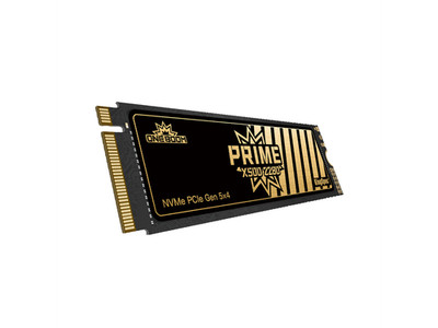 OneBoom X500 1TB M.2 2280 PCIe 5.0 NVMe SSD Up to 14000MB/s Read, KingSpec