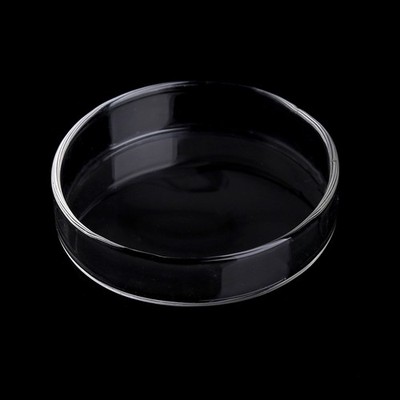 Aquarium Shrimp Dish High Transparent Acrylic Feeder for Bottom Feeding Fish