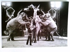 Staatszirkus der DDR, Siegfried Gronau, NPT, Helga Gronau, Elefantendressur, AK,