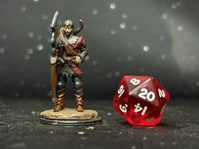 Hand Painted GUARDSMAN - D&D Pathfinder Miniature