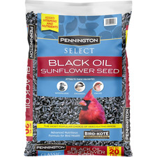Black Oil Sunflower Seed Dry Wild Bird Feed, 20 lb. Bag, 1 Pack