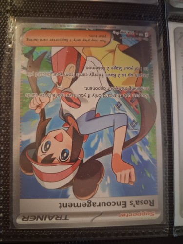 Pokémon Rosa's Encouragement - 114/088 - Perfect Order - Full Art