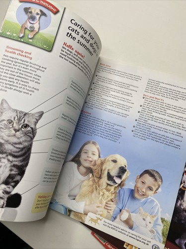 6 x AQUILA Children's Magazines from 2011 - 2012 - Picture 21 of 22