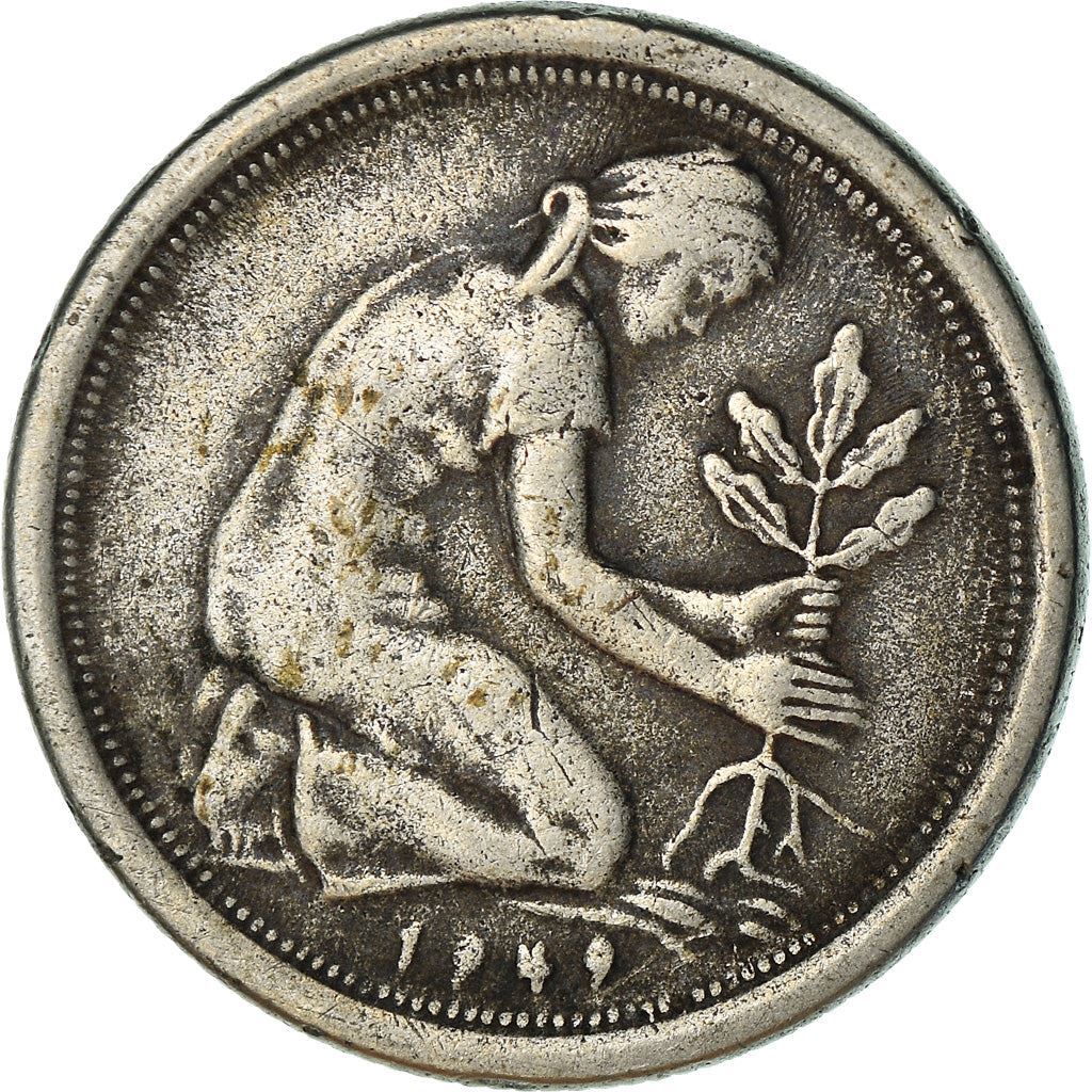 Picture 4 of 12