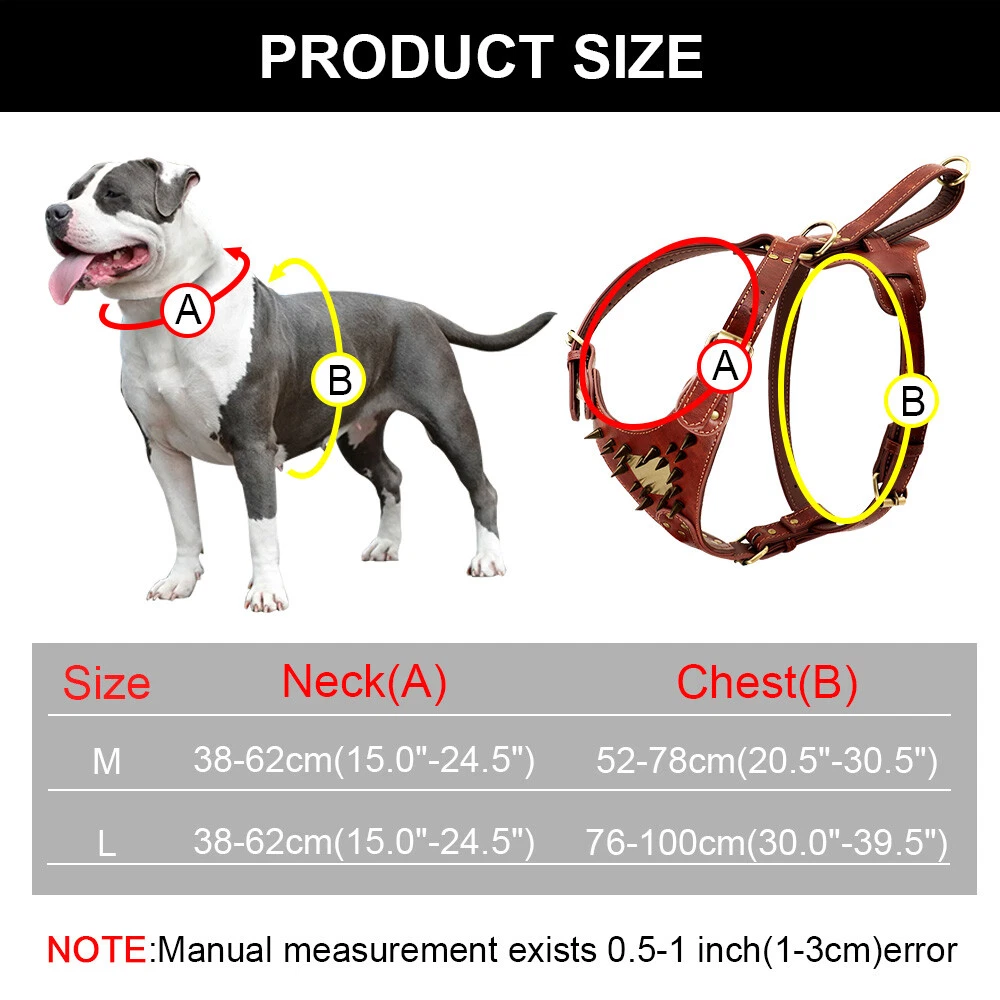 Genuine Leather Dog Harness Leash with Personalized Nameplate