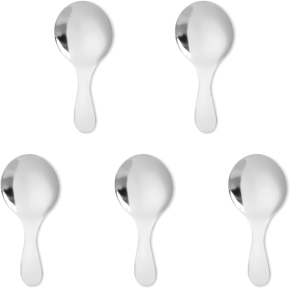 5 PCS Short Handle Spoons Silver Mini Scoops Stainless Spoons for Canisters