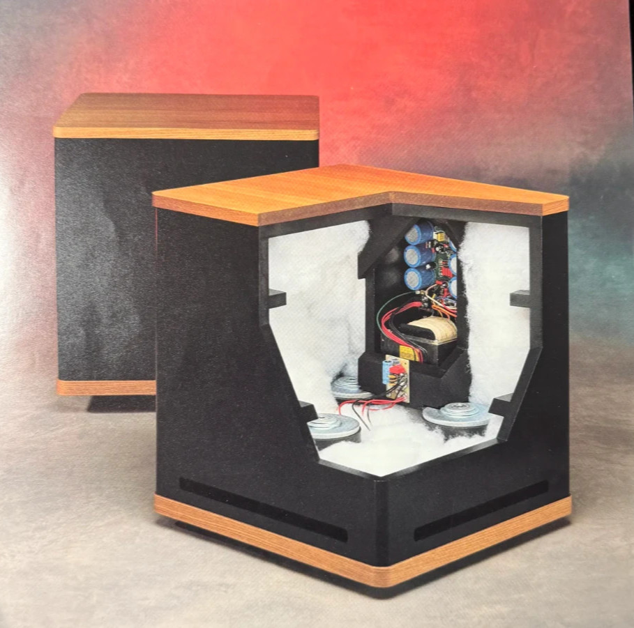 VANDERSTEEN V2W Power Subwoofer