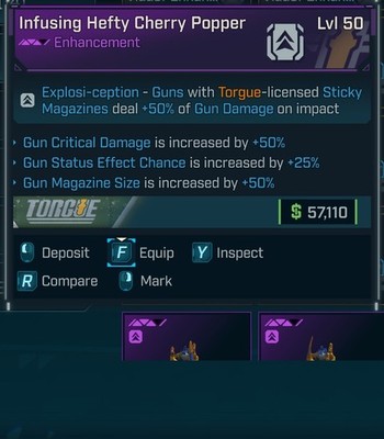 Borderlands 4   Infusing Hefty Cherry Popper   [CritDMG/StatusChance/Mag]