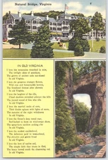Vintage Natural Bridge Virginia Linen Postcard Tichnor Bros. Scenic View