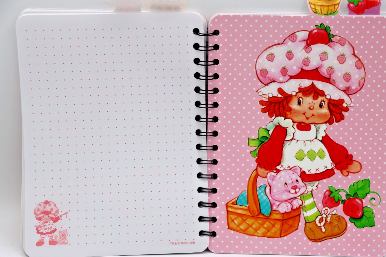 2023 Strawberry Shotcake 4-Tab Notepad Journal 6.5" x 8.5" NEW WildBrain