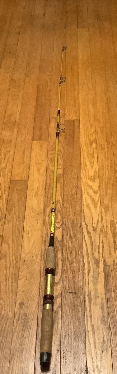 DAIWA - ΨΨDAIWA ダイワ 00060212 Vintage Daiwa 2-Piece 6ft 6 in. Spinning Rod - 1012 | eBay