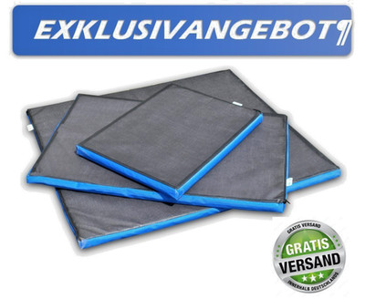 Klauenmatte Desinfektionsmatte Stall Desinfektion Geflügelpest, 60x45cm, NEU TOP