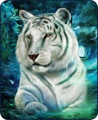REGAL COMFORT Queen Size White Tiger Blue Aurora Beautiful Mink Faux Fur Blanket Soft Plush