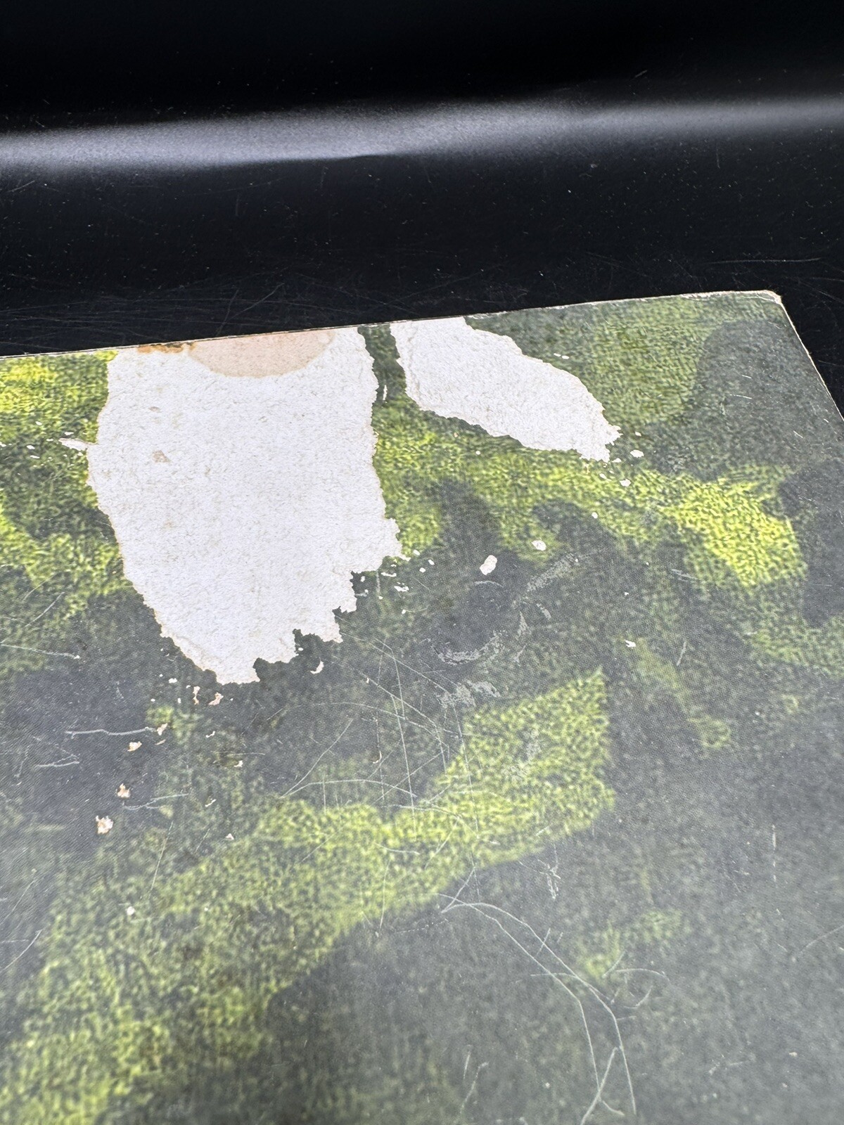 Picture 5 of 6