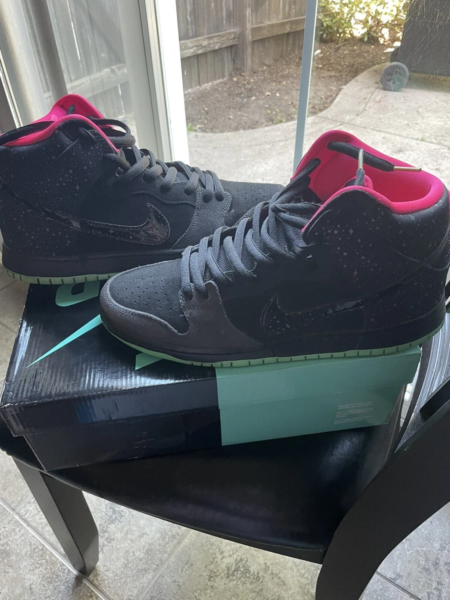 Nike dunk clearance sb northern lights