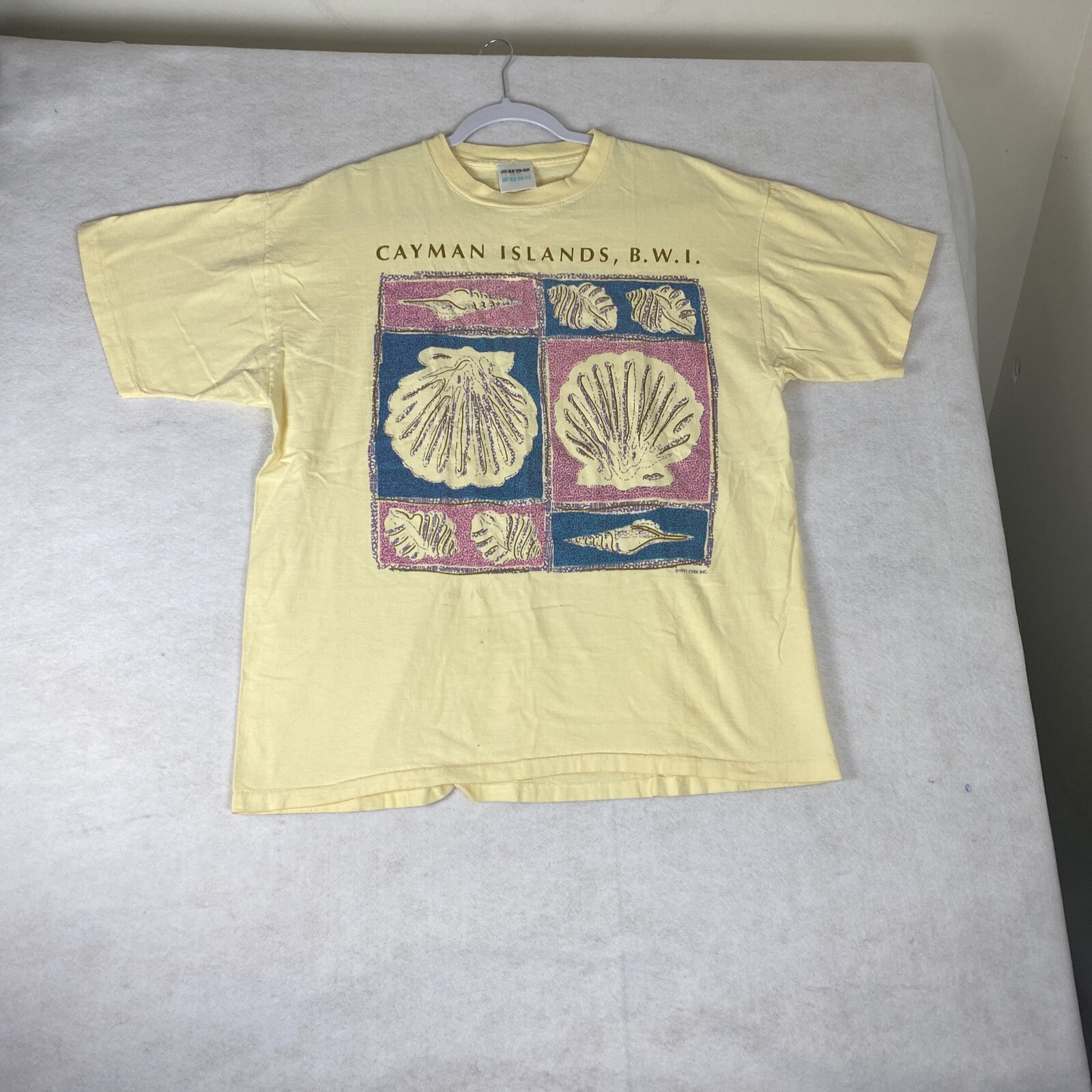 Picture 2 of 12