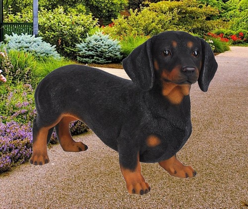 Vivid Arts Highly Detailed Dachshund Dog Garden Decoration - Picture 3 of 3