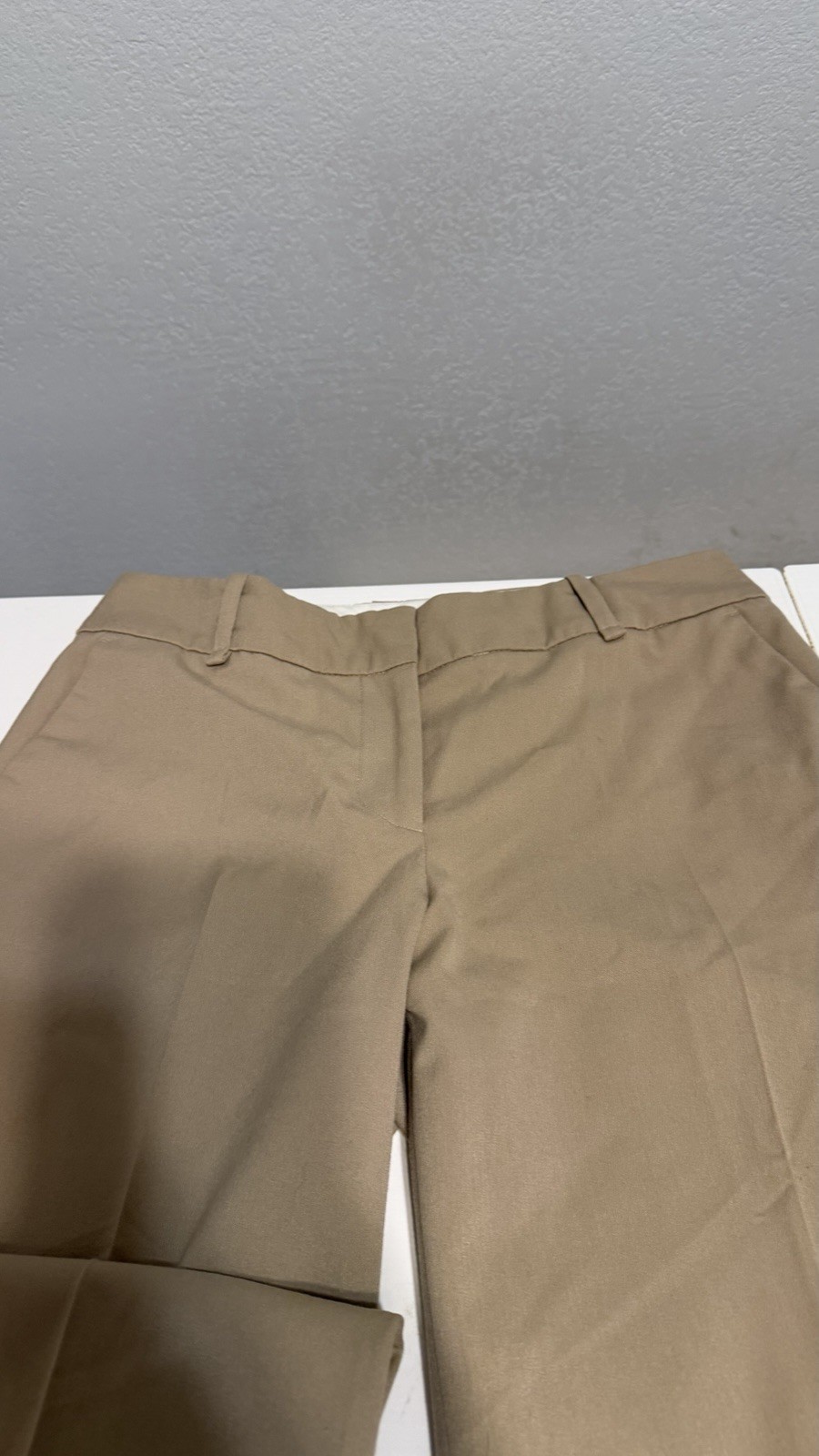 Ann Taylor Beige Dress Pants Women’s Flat Front Zip Button Pockets Straight Leg