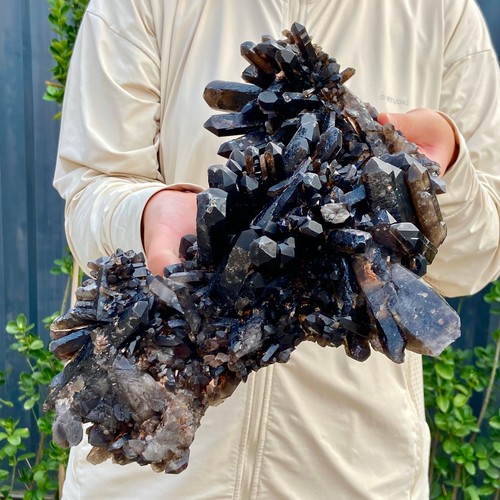 9.8LB Large Natural Smoky Black Quartz Cluster Crystal raw Specimen Healing - Picture 4 of 16