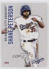 2019 Choice Oklahoma City Dodgers Shane Peterson #19 8d2