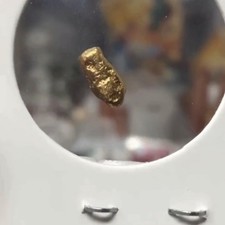Gold Nugget - Peru / The Andes Mountains - Rarest Of Rares- .489 &ldquo;GOLDFISH&rdquo;