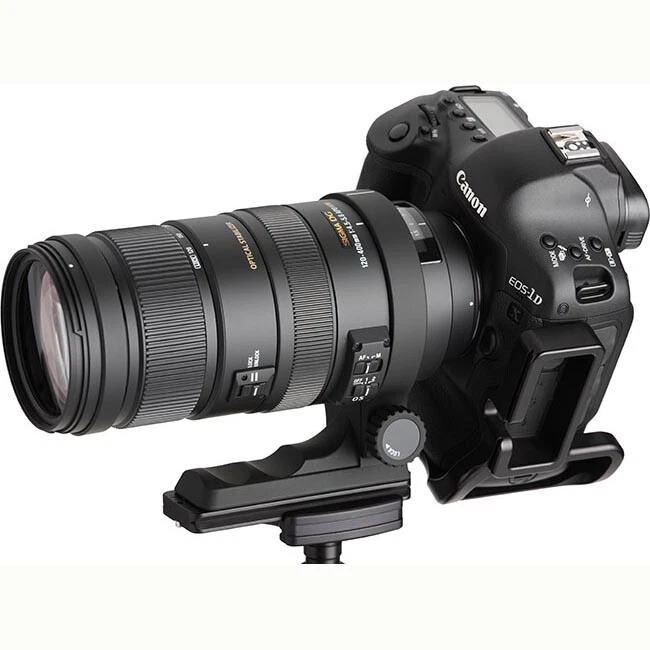 ポイントキャンペーン中 シグマ 80-400mm F4.5-5.6 APO EX DG OS