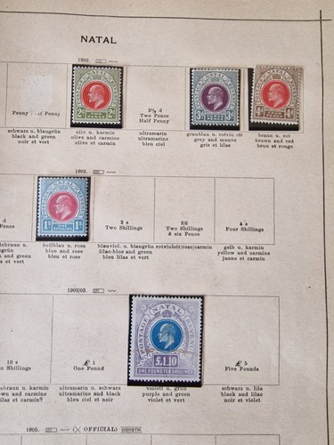 Natal Stamp Accumulation on Ancient Schaubek Pages - Picture 5 of 5
