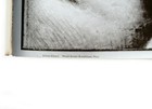 Bild 10 von 11
