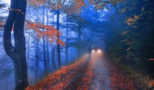 Landscape photography nature forest road walking fall Custom Gaming Mat Desk