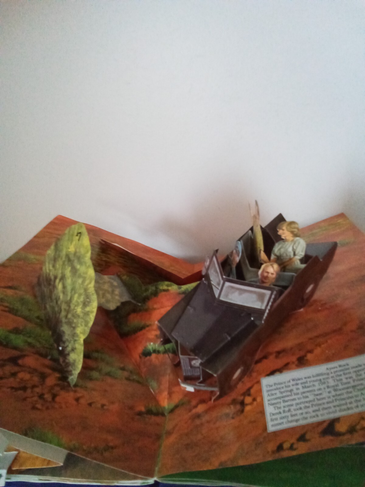 Picture 5 of 8