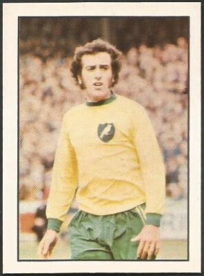 Panini Topseller Football 73 - #247 - Norwich City - Doug Livermore in Aktion