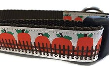 Autumn Dog Collar Caninedesign Fall 1 inch Wide Adjustable Nylon Medium and L...