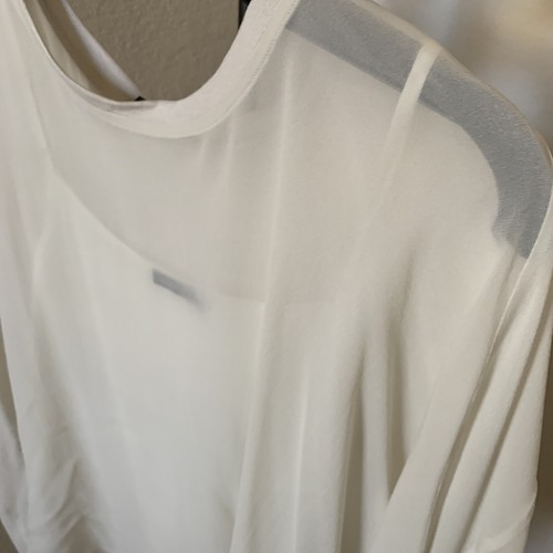 NWT Eileen Fisher Bone Silk Sheer Georgette Crepe Round Neck Top Sz L MSRP $258 - Picture 5 of 12