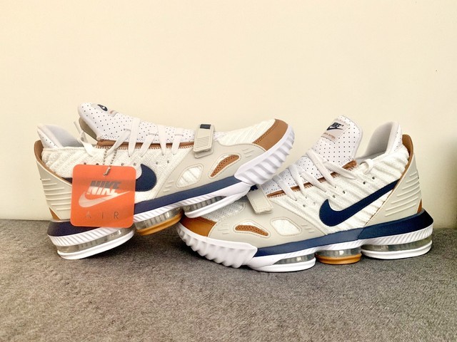 nike lebron james xvi