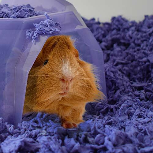 carefresh colorful creations