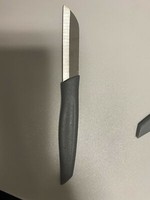 20 Fackelmann GemüSe Obst Messer Nirosta Inox Rostfreier Edelstahl