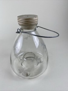 Glass Bee Catcher Trap Wasp Insect Fly Embossed Footed Hanging