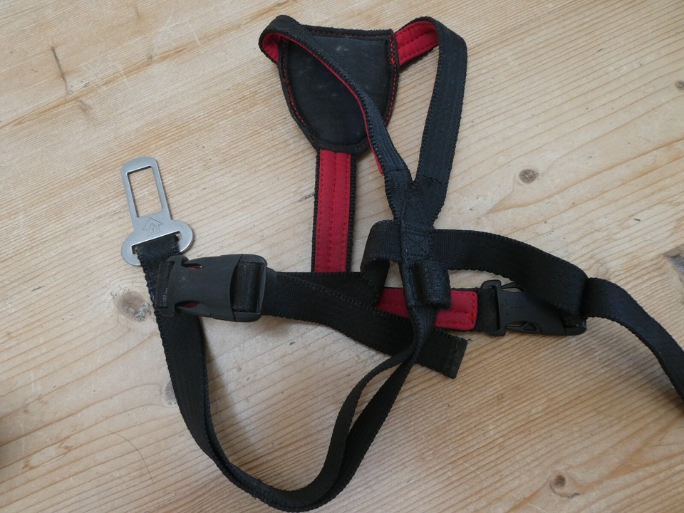 SMALL DOG HARNESS CLIX CAR SAFE SMALL DOG HARNESS BLACK/RED SIZE XS