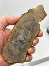 Coprolite Petrified Dino DoDo Slab Cabbing Lapidary Utah Combo Ship Avail