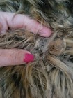 Foto 4 di 9
