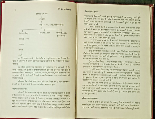 INDIA SHAIVISM: SHAIV DHARMA KA VIKAS BY DR SRIDHAR TIWARI 1988 HINDI PAGES 134 - Picture 8 of 14