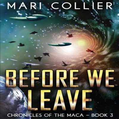 Before We Leave Mari Collier Hardcover Next Chapter