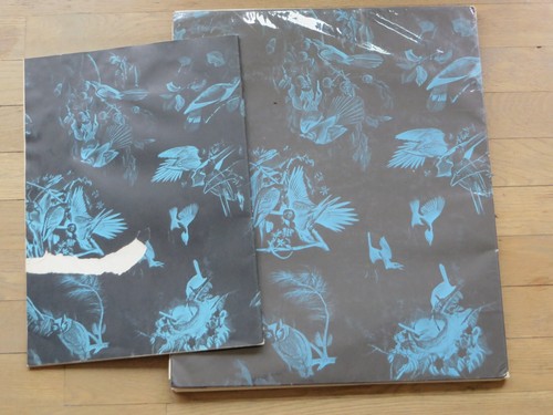 Audubon Folio 30 dipinti grandi uccellini testo di George Dock Jr 14x17 set completo - Foto 17 di 22